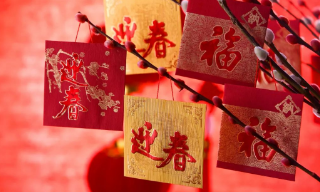 【视频】中国代表：春节正式成为联合国假日