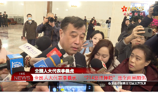【视频】全国人大代表李义虎：“214恶性撞船”恶化两岸关系