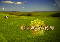 映像