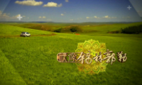映像